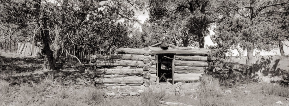 Pietown Dugout Rustic log cabin with open doorway in a wooded area.