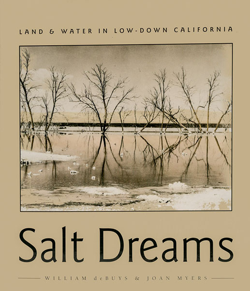 Salt Dreams Salt Dreams bookcover