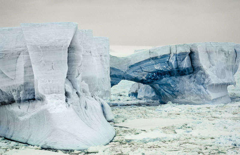 WC-blue-iceberg Emperor Feet