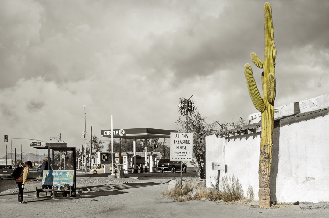 Cactus next to sign for Allen's Treasure House with gas station in background. Cloudy sky.