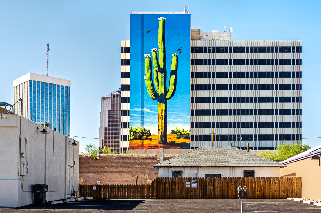 Saguaro cactus mural on side of multi-story building in downtown Tuscon.