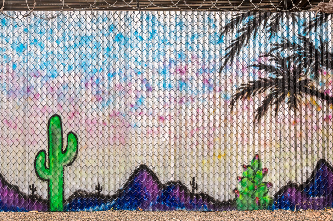 Desert landscape mural with saguaro on fencing. Tuscon.