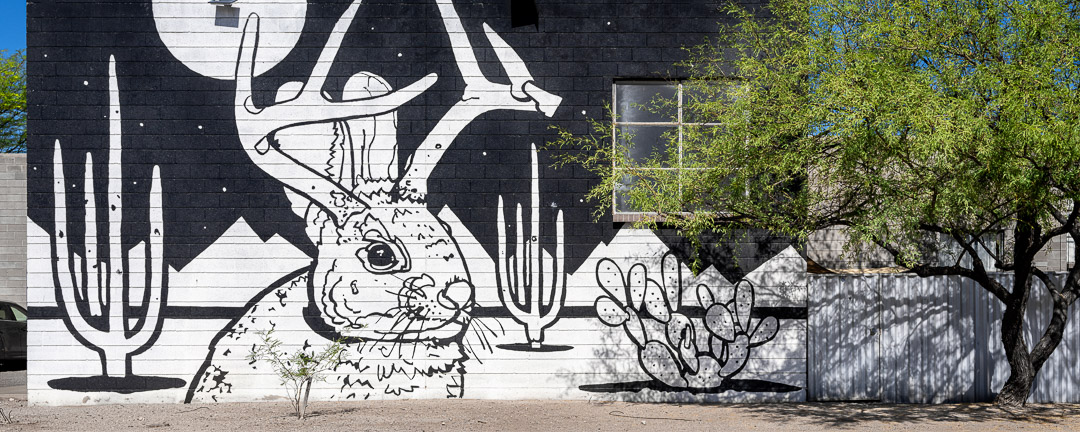 B&W mural on side of wood building: jackalope in front of cactus, mountains, and moon. Tuscon.